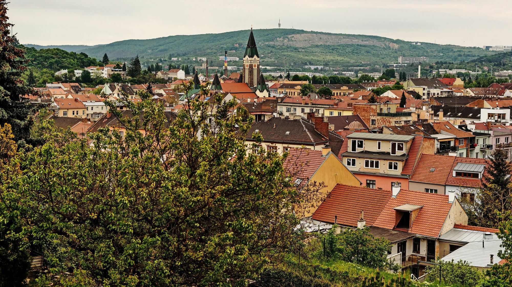 Penzion Bird'S Nest Brno Eksteriør billede